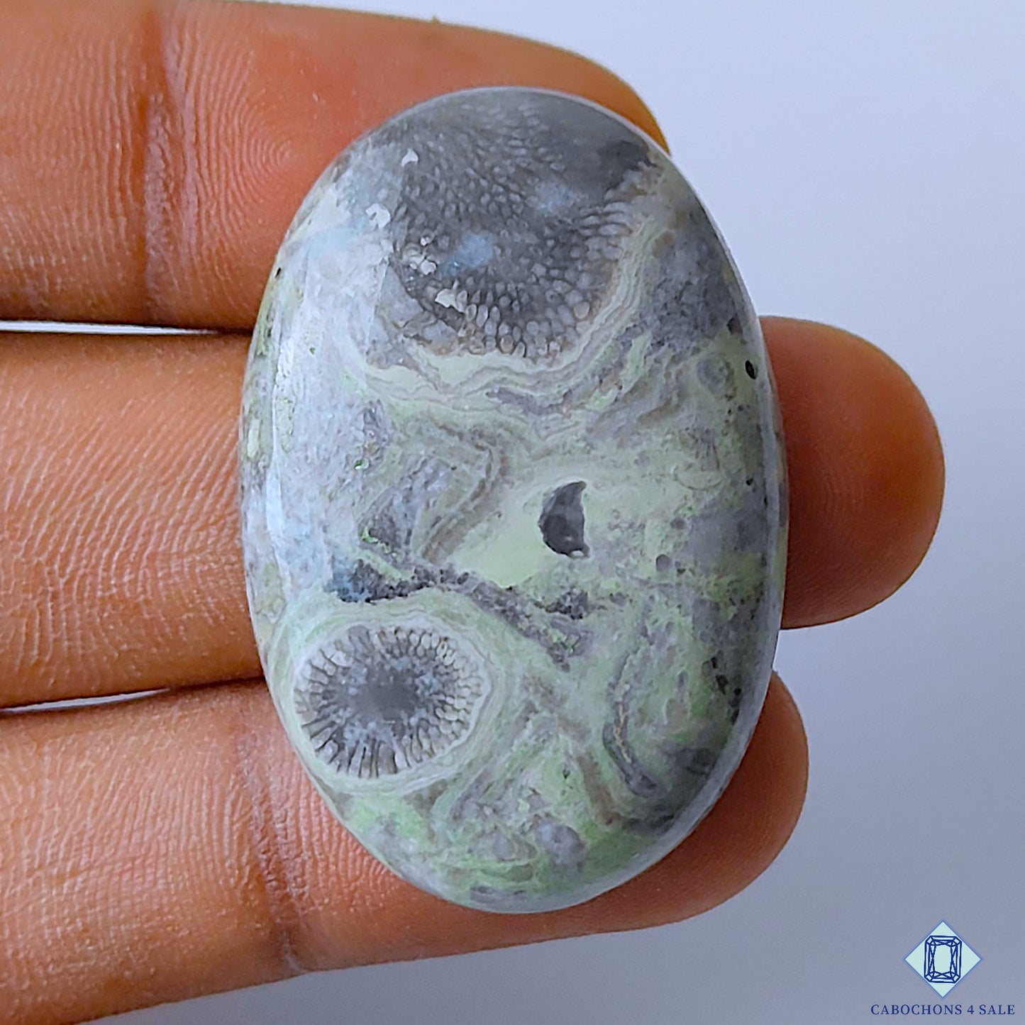 Kambaba Jasper