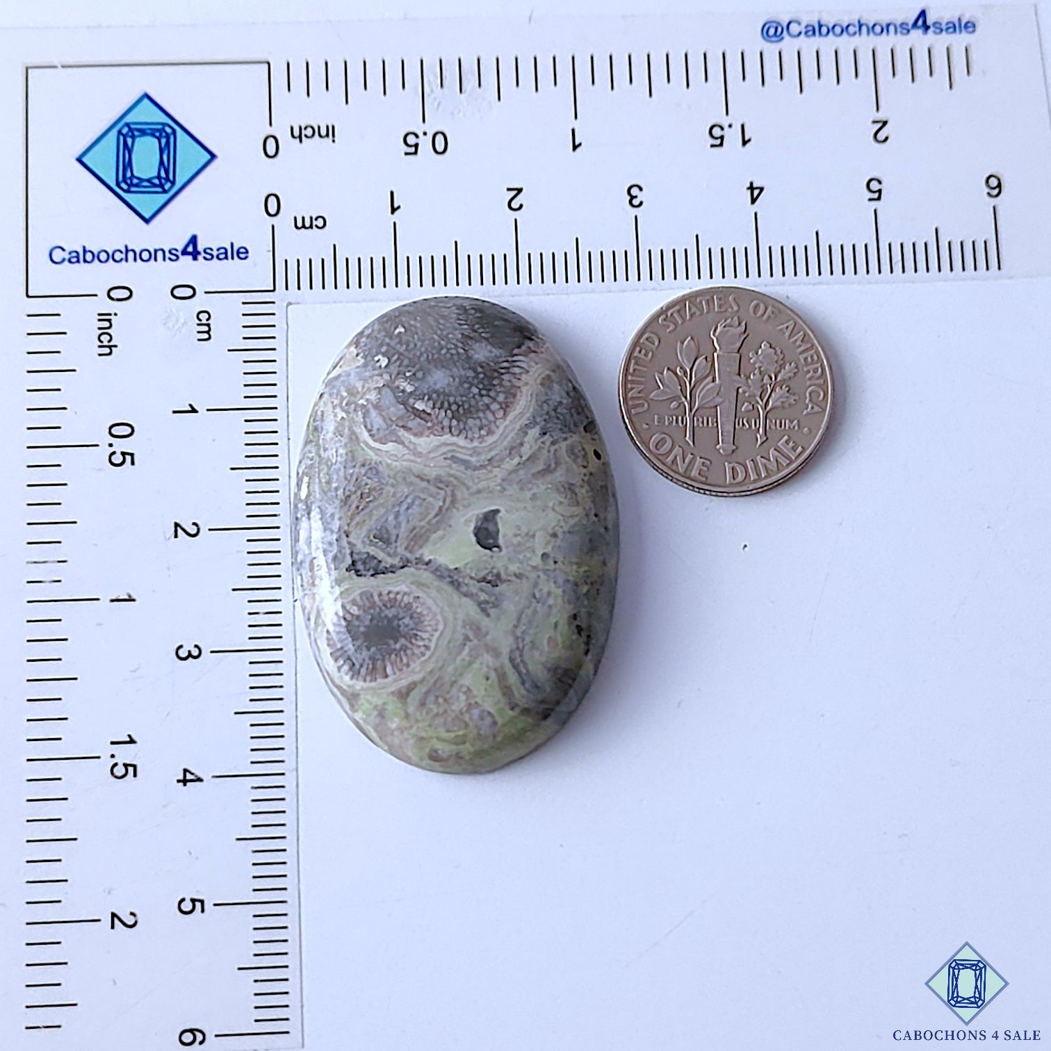 Kambaba Jasper