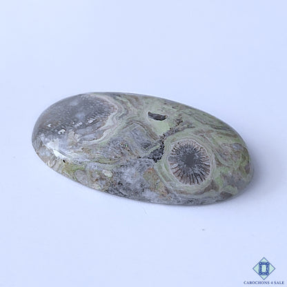 Kambaba Jasper