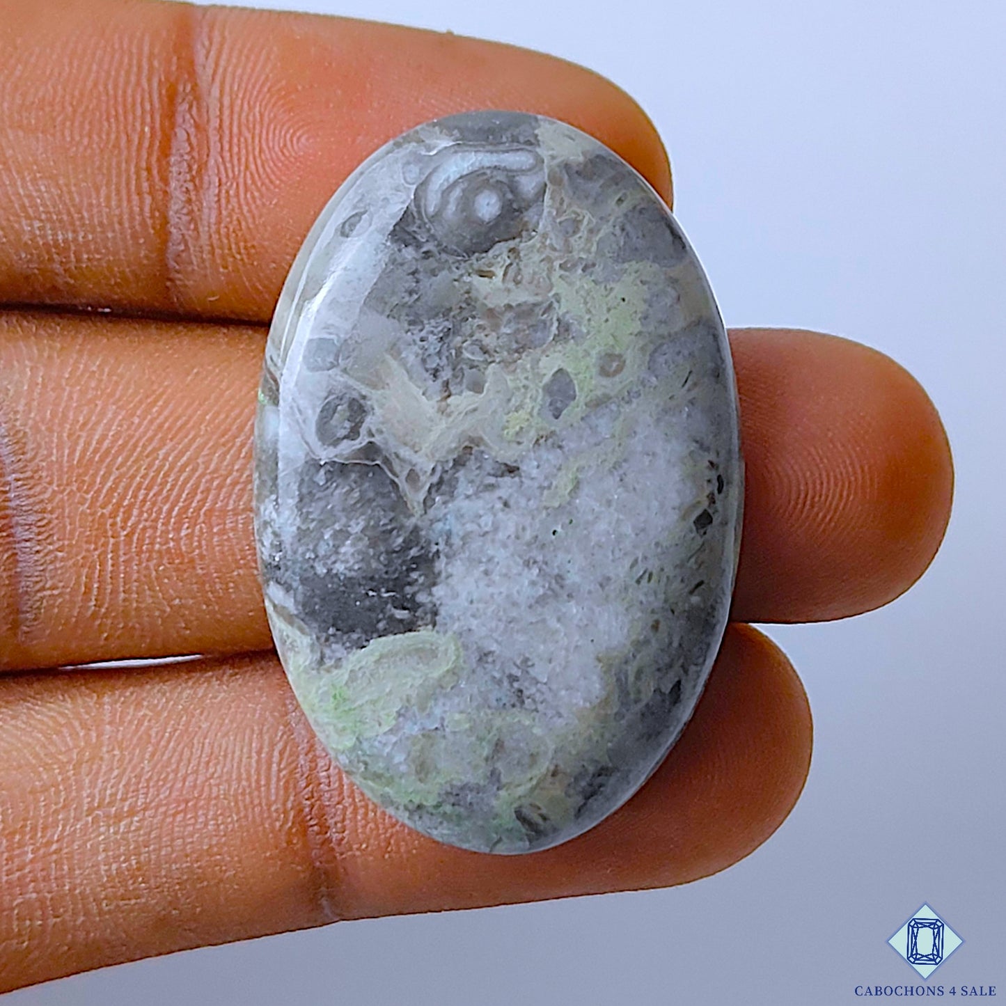 Kambaba Jasper