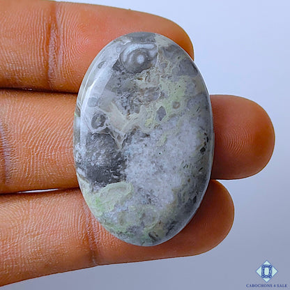 Kambaba Jasper