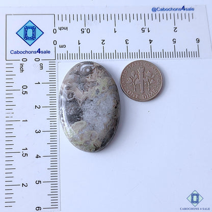 Kambaba Jasper