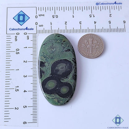 Kambaba Jasper