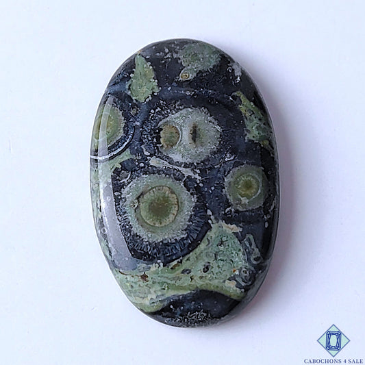 Kambaba Jasper
