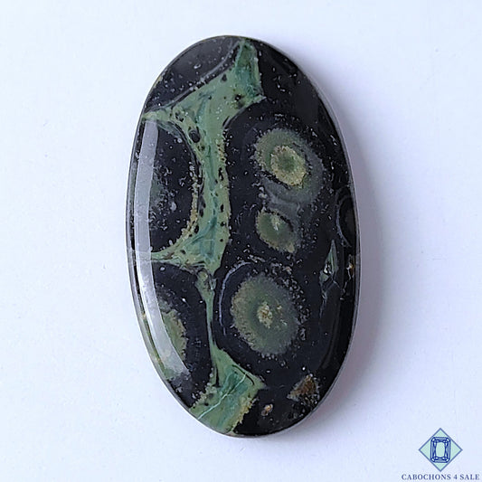 Kambaba Jasper
