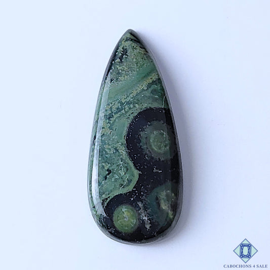 Kambaba Jasper