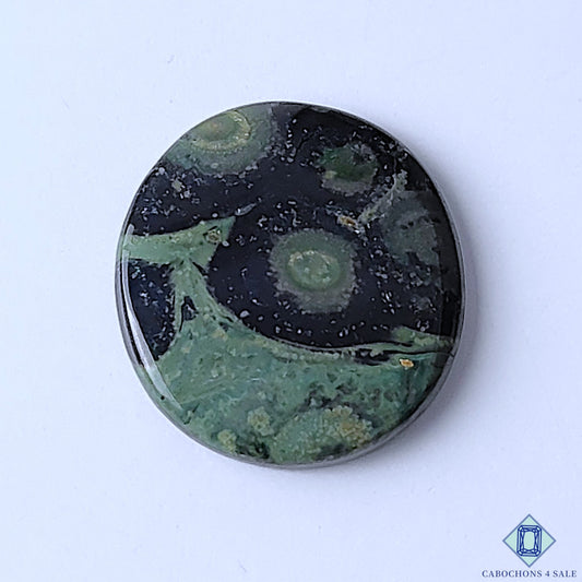 Kambaba Jasper