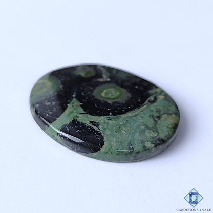 Kambaba Jasper