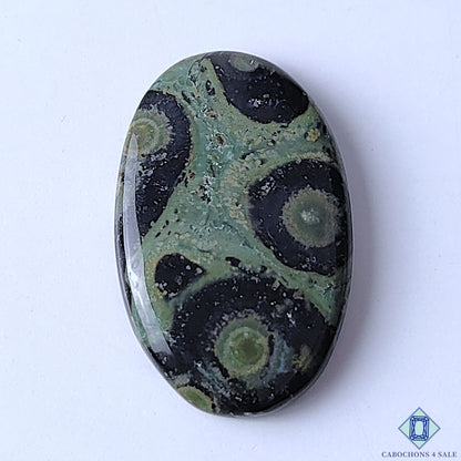 Kambaba Jasper