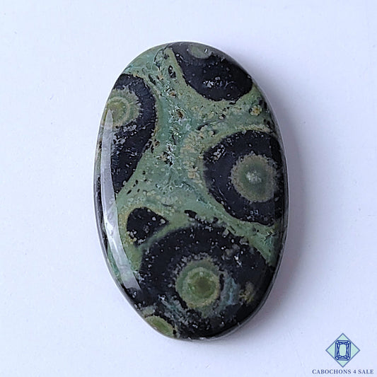 Kambaba Jasper