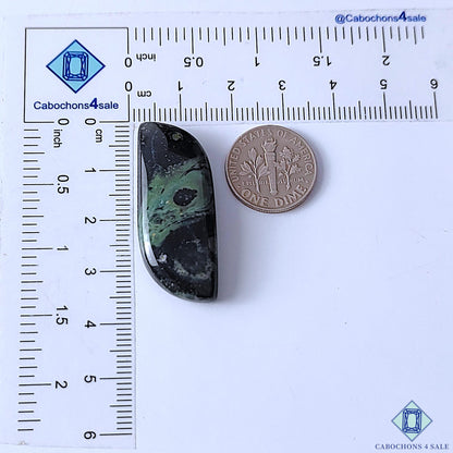Kambaba Jasper
