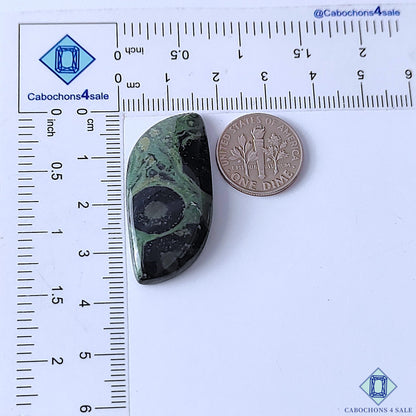 Kambaba Jasper
