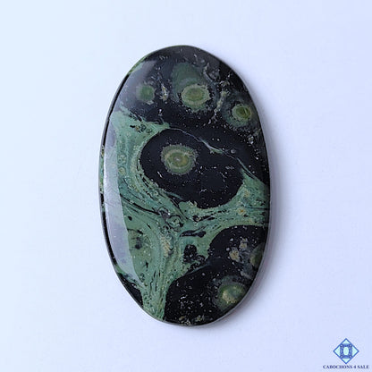 Kambaba Jasper