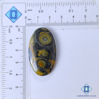 Natural Kambaba Jasper Gemstone  Oval Cabochons 39*22*5mm from Madagascar available for sale