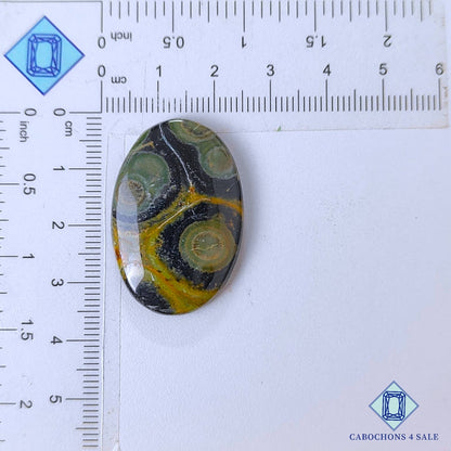 Cabujones ovalados de jaspe Kambaba natural de 34 x 23 x 5 mm de Madagascar, disponibles para la venta.