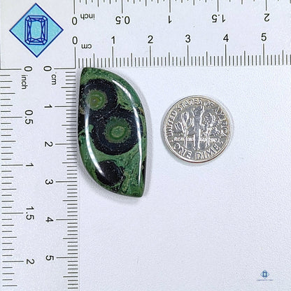 Kambaba Jasper Fancy Cabochons