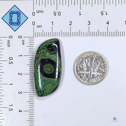 Kambaba Jasper Fancy Cabochons