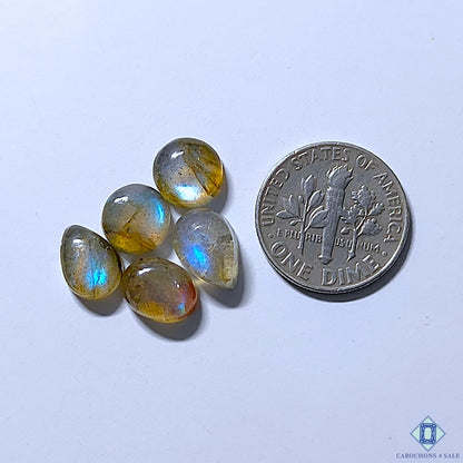 0-Labradorite-C4sw23158-2-Mix_Shape-Blue-mm-Lots-Translucent-0
