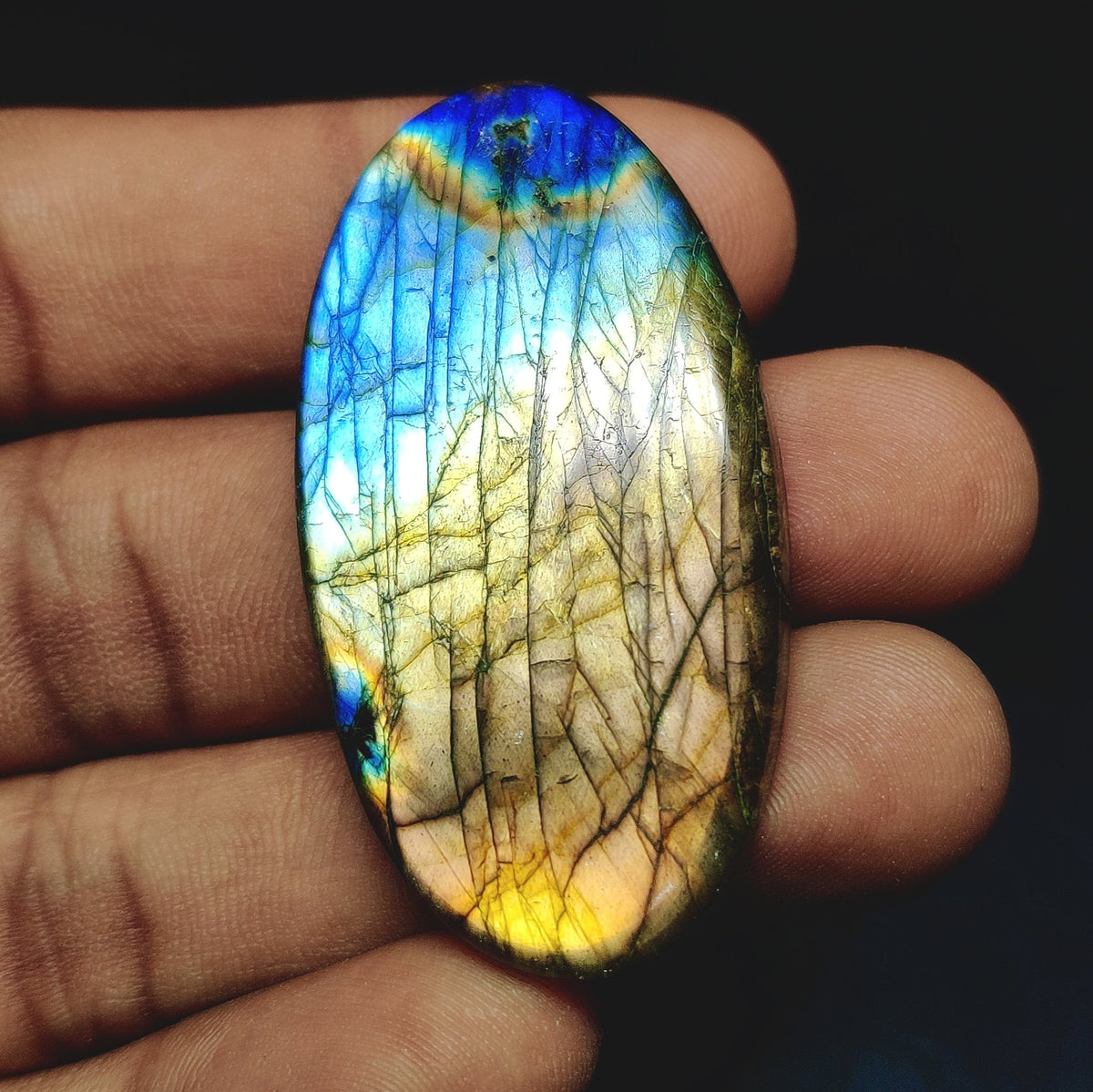 Cabochons4sale oval labradorite cabochon with vibrant blue and yellow iridescent flash held in a hand