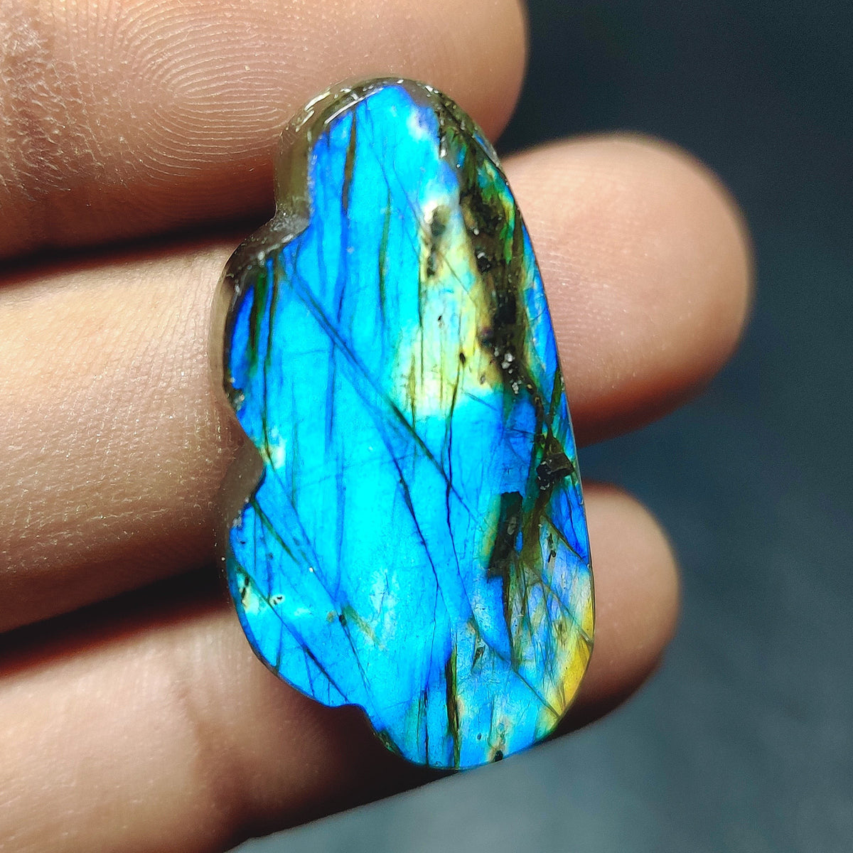 Cabochons4sale natural translucent fancy labradorite cabochon with vibrant blue flash held in fingers
