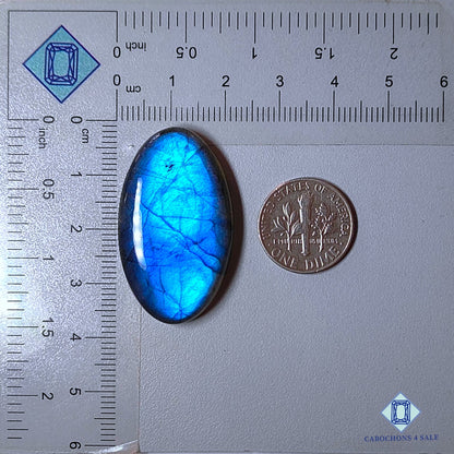 Cabujones ovalados de labradorita azul natural de 36 x 21 x 7 mm de Madagascar, disponibles para la venta. 