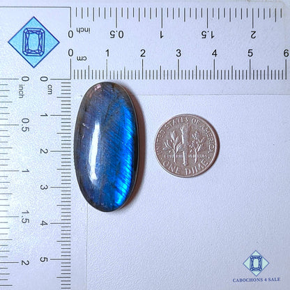 Cabujones ovalados de labradorita azul natural de 36 x 18 x 7 mm de Madagascar, disponibles para la venta. 