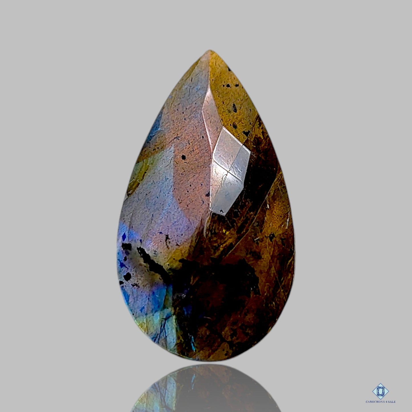 Labradorite Pear All Cuts