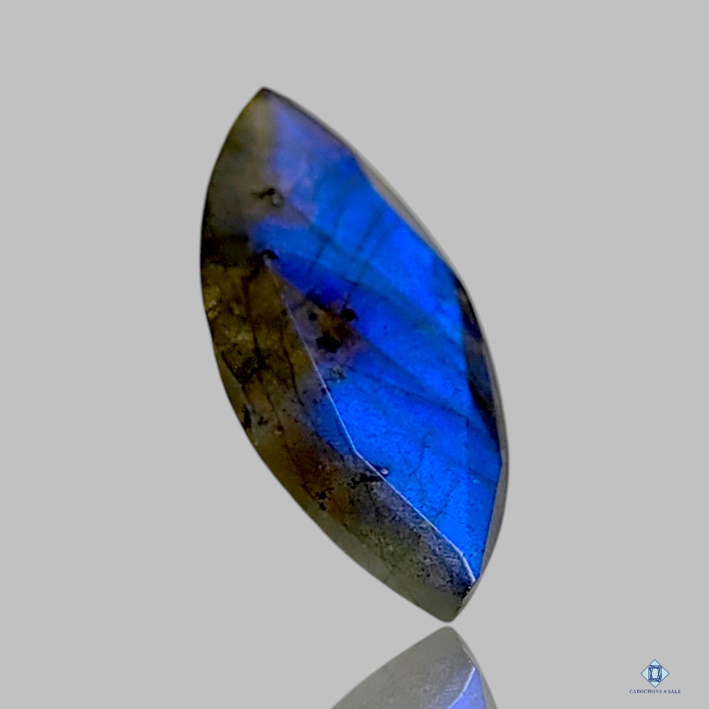 Labradorite Marquise All Cuts