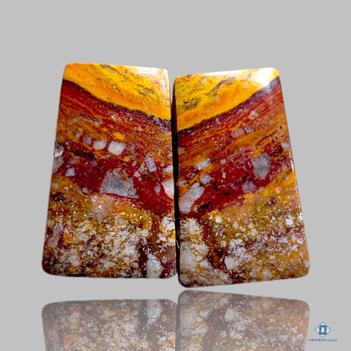 Lahontanite Jasper