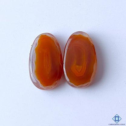 Lake Superior Agate