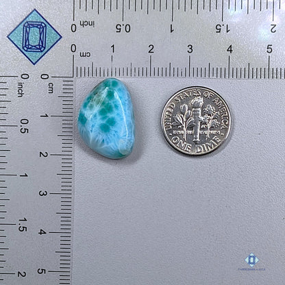 Larimar Fancy Cabochons