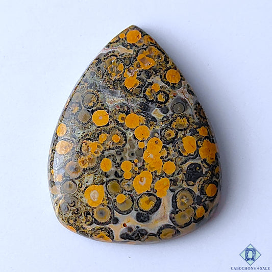 Leopard Skin Jasper