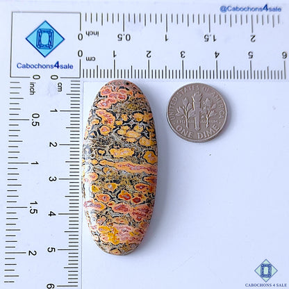 Leopard Skin Jasper