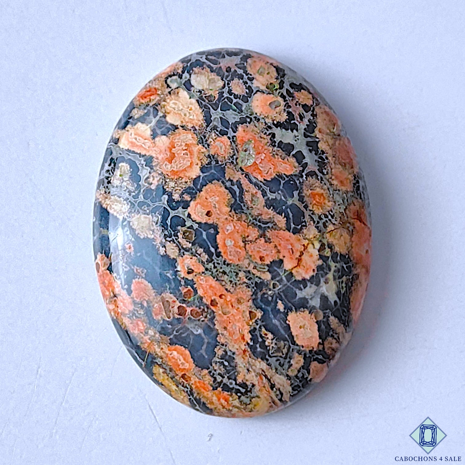 Leopard Skin Jasper