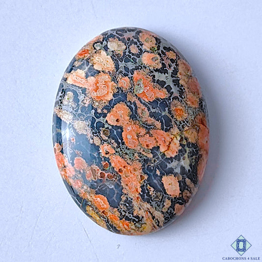 Leopard Skin Jasper