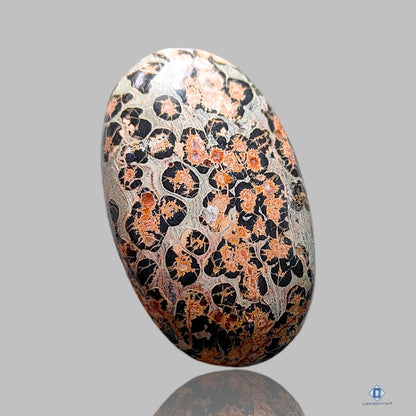 Leopard Skin Jasper