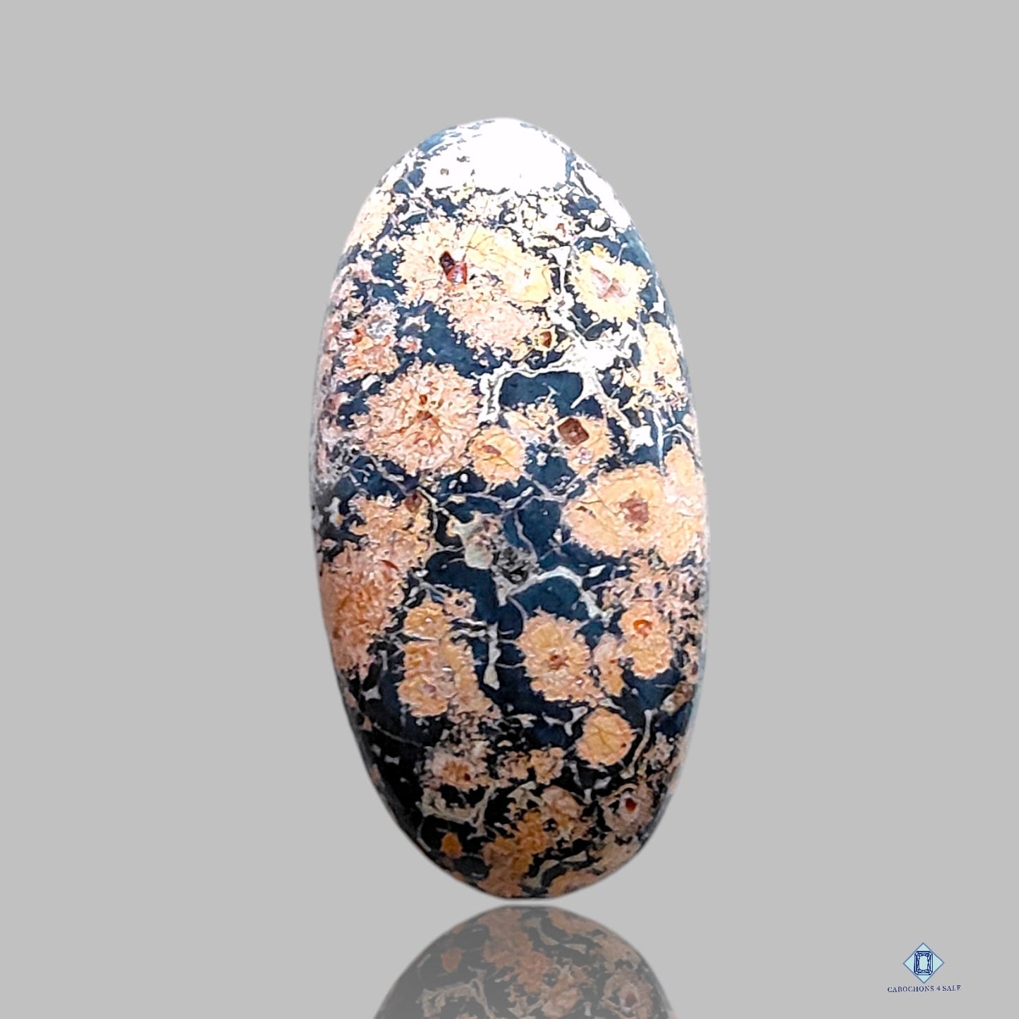 Leopard Skin Jasper