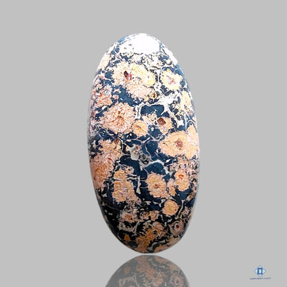 Leopard Skin Jasper