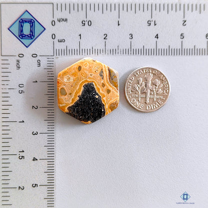 Jasper Hexagon Cabochons