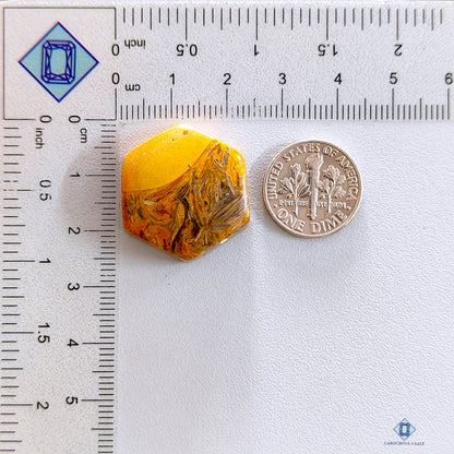 Jasper Hexagon Cabochons