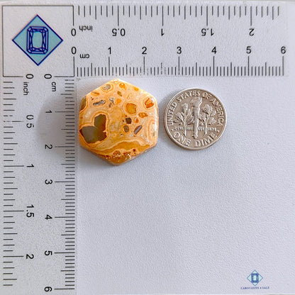 Jasper Hexagon Cabochons