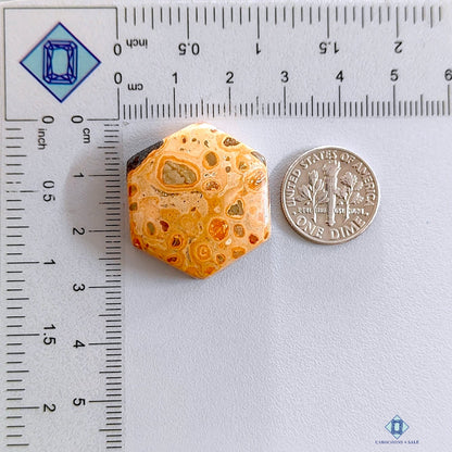 Jasper Hexagon Cabochons