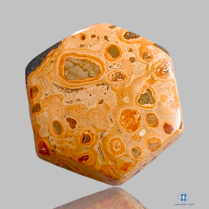 Jasper Hexagon Cabochons