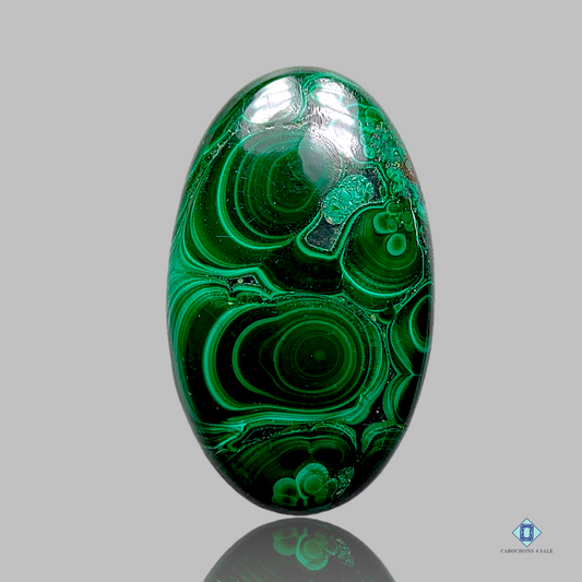 Forest Malachite