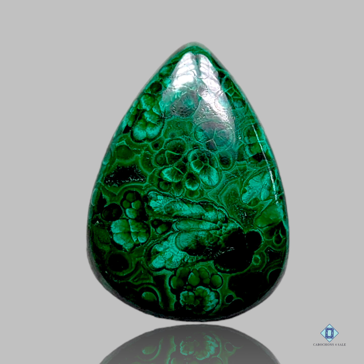 Forest Malachite