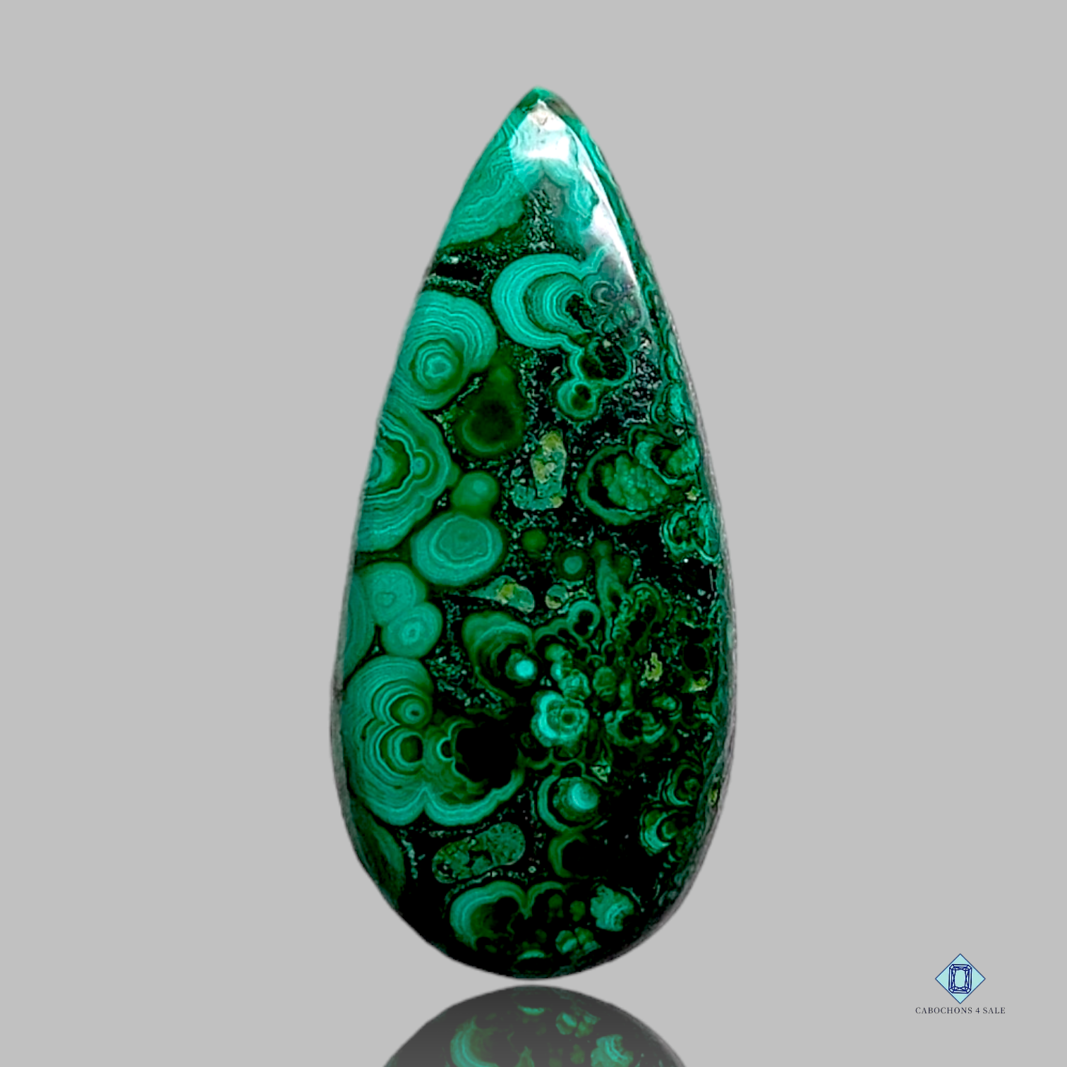 Forest Malachite