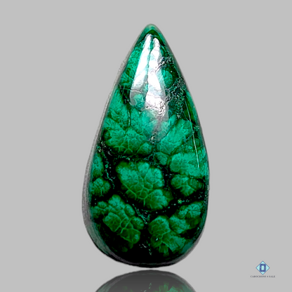 Forest Malachite