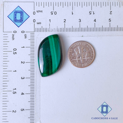 Natural Malachite Fancy Cabochons