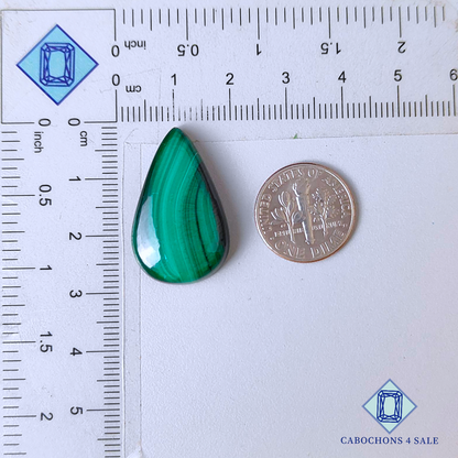 Natural Malachite Pear Cabochons