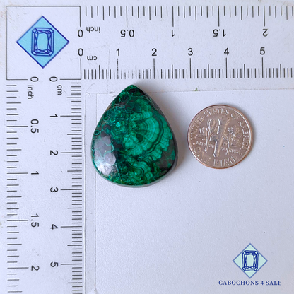 Natural Malachite Pear Cabochons